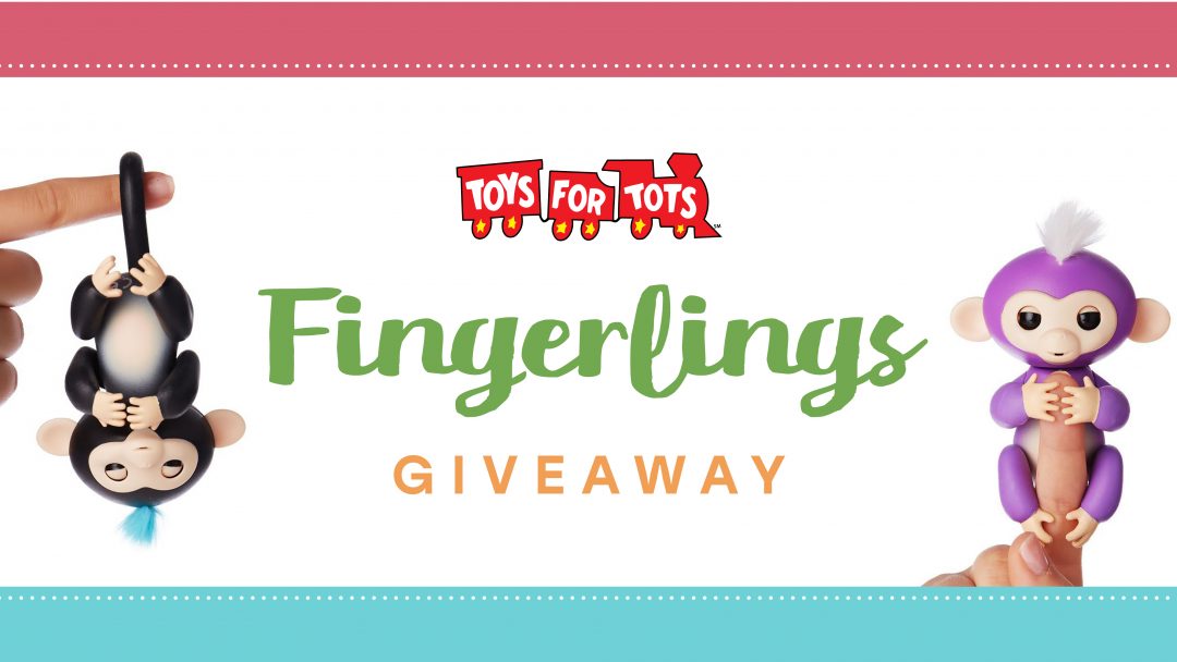 Kids Teeth Toys for Tots